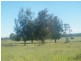 BILLABONG 598 BULRUSH RD, Miles QLD 4415