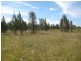 67 Redgum Road, Dalby QLD 4405