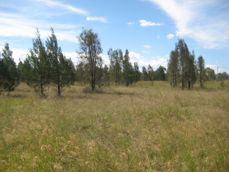 67 Redgum Road, Dalby QLD 4405