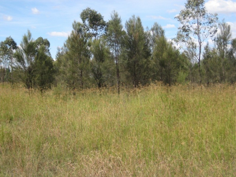 67 Redgum Road, Dalby QLD 4405