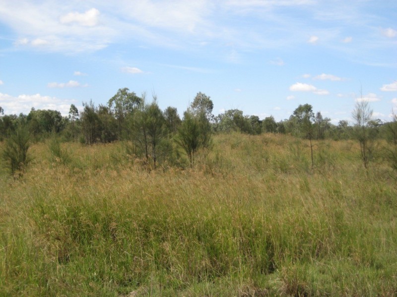 67 Redgum Road, Dalby QLD 4405