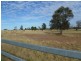 LOT 19 WOODSIDE ROAD, Roma QLD 4455