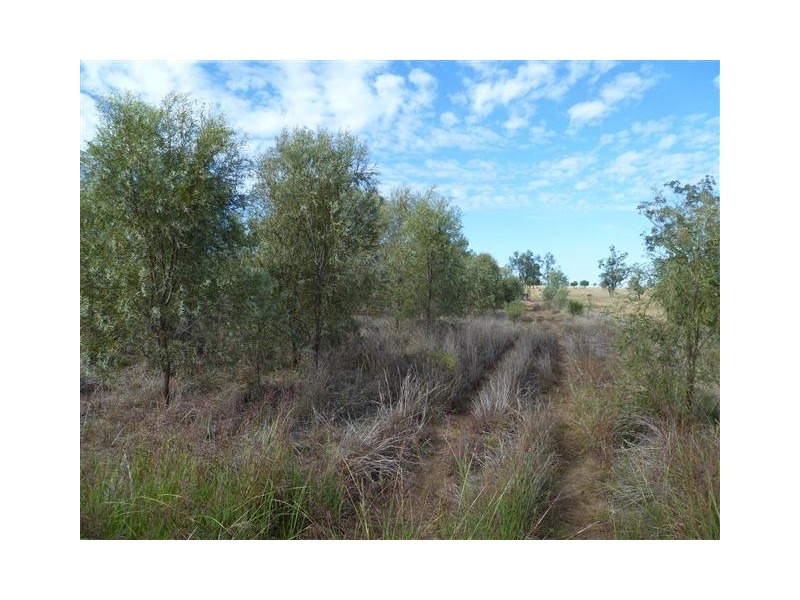 LOT 19 WOODSIDE ROAD, Roma QLD 4455