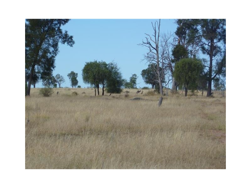 LOT 19 WOODSIDE ROAD, Roma QLD 4455