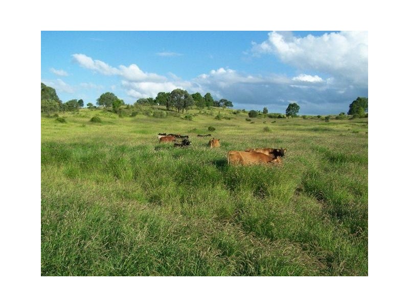 ” Conloi “, Wandoan QLD 4419