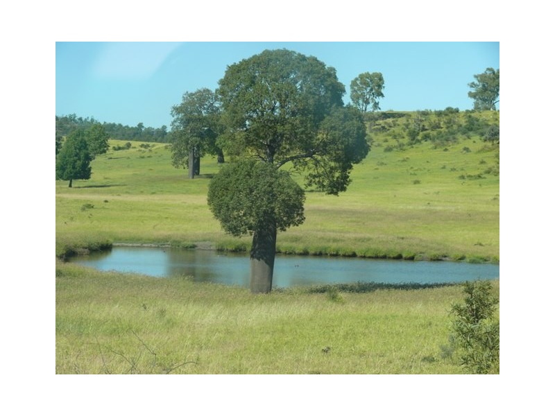 ” Conloi “, Wandoan QLD 4419