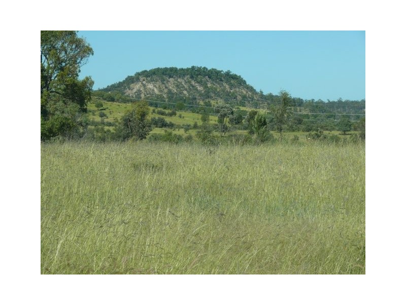 ” Conloi “, Wandoan QLD 4419