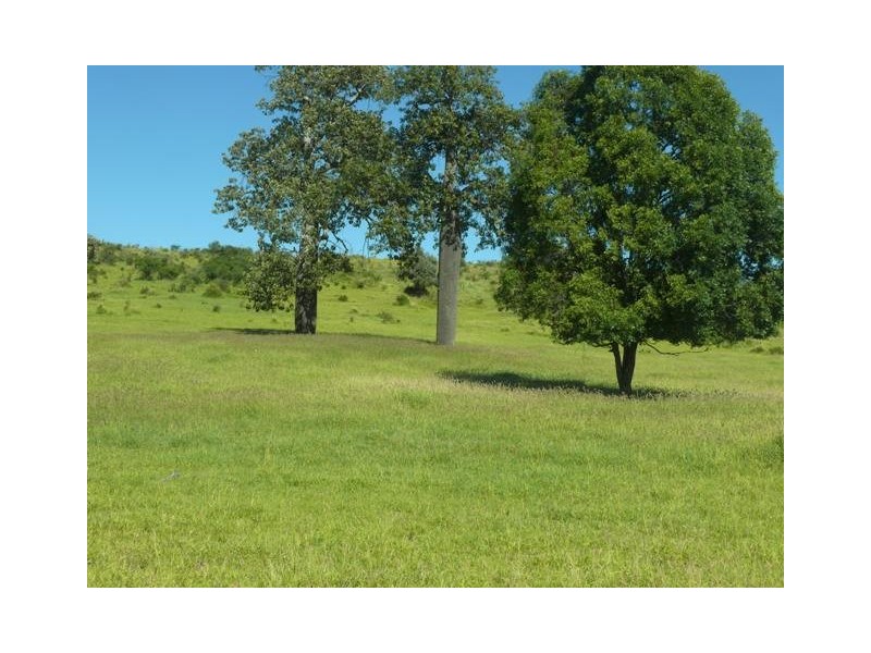 ” Conloi “, Wandoan QLD 4419