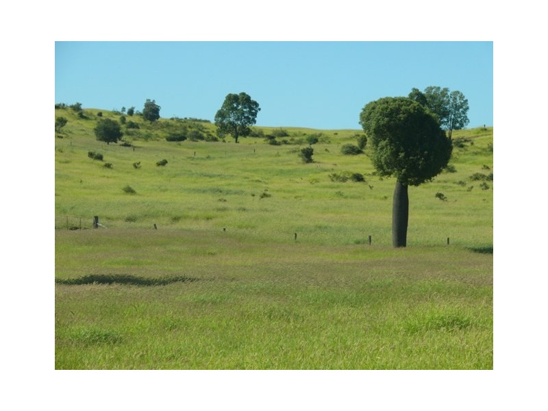 ” Conloi “, Wandoan QLD 4419