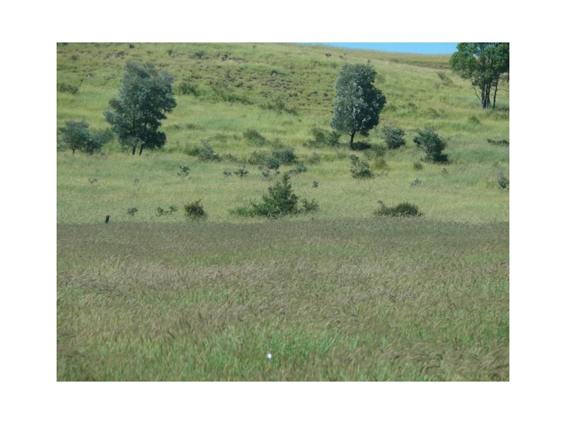 ” Conloi “, Wandoan QLD 4419