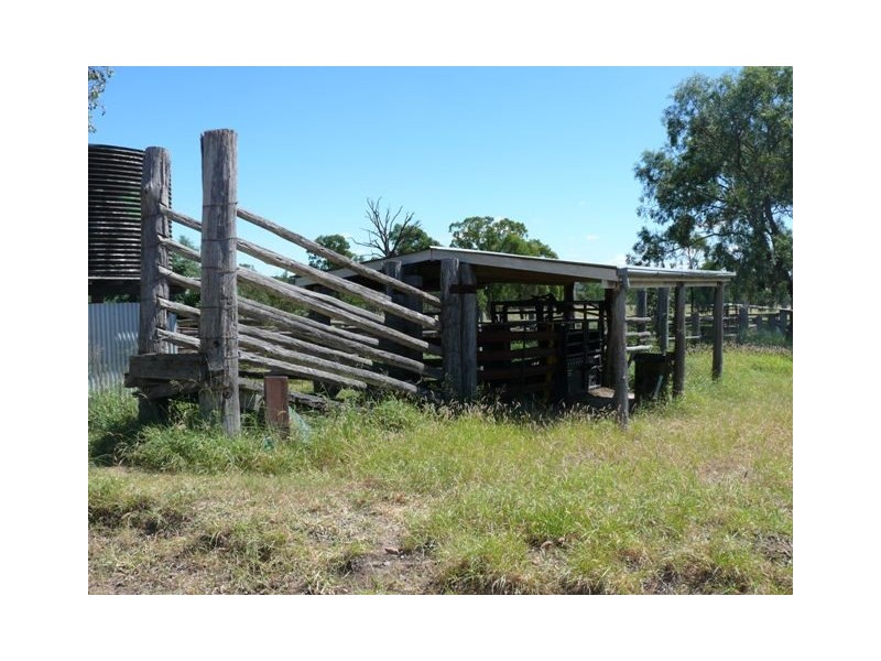 ” Conloi “, Wandoan QLD 4419