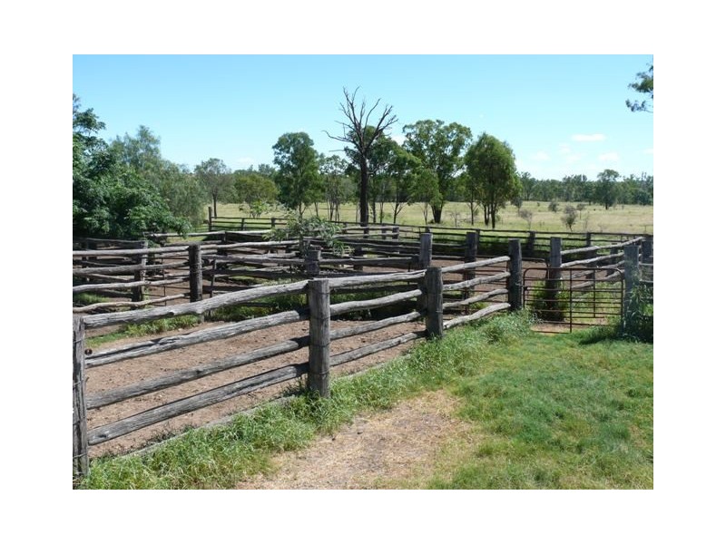 ” Conloi “, Wandoan QLD 4419