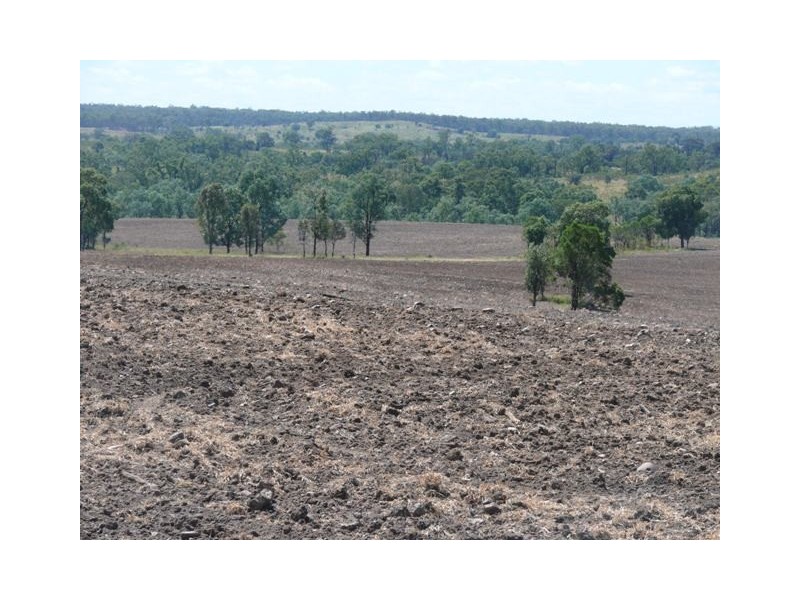 ” Conloi “, Wandoan QLD 4419