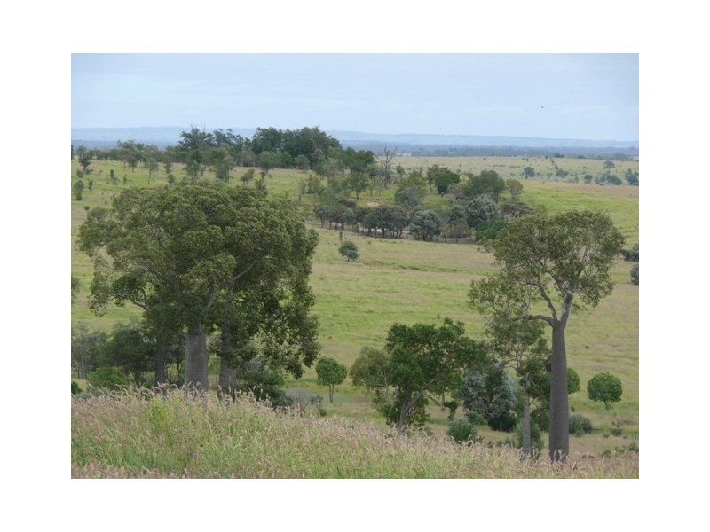 ” Brolga “, Taroom QLD 4420