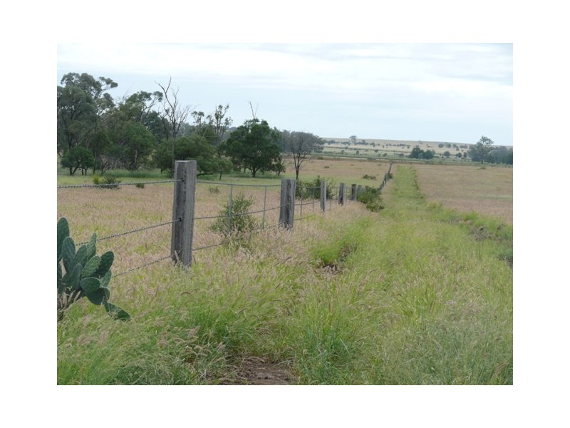” Brolga “, Taroom QLD 4420