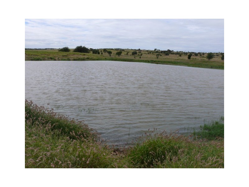 ” Brolga “, Taroom QLD 4420