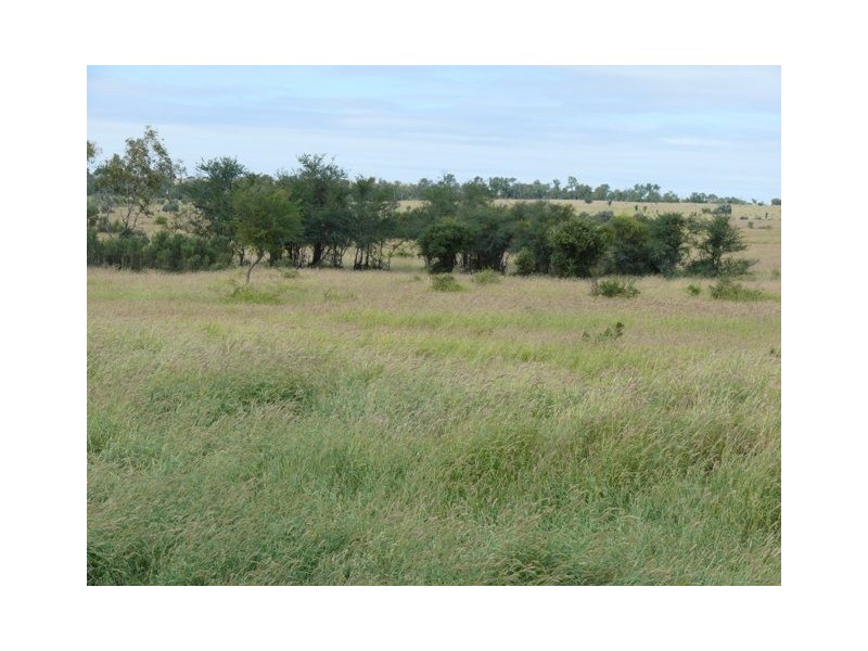 ” Brolga “, Taroom QLD 4420
