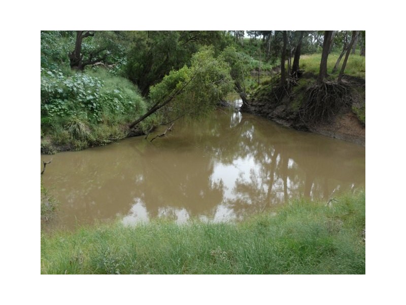 ” Brolga “, Taroom QLD 4420