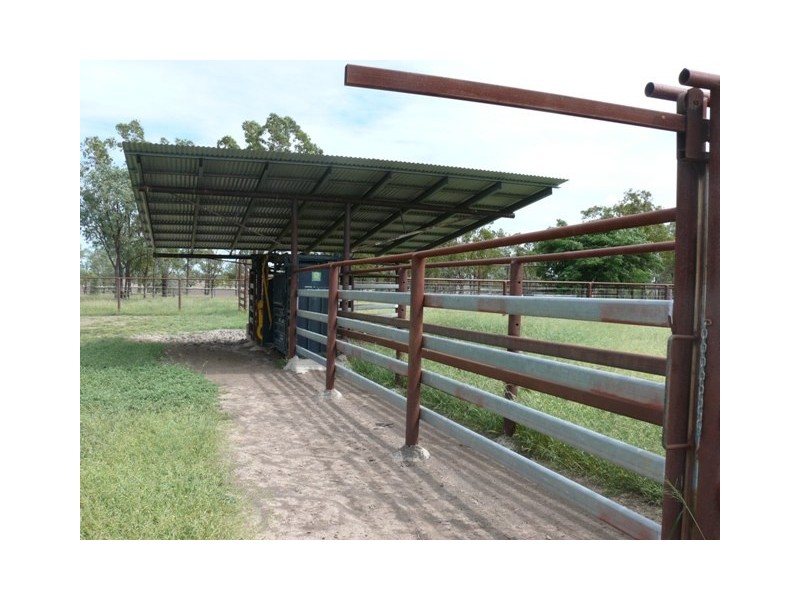 ” Brolga “, Taroom QLD 4420