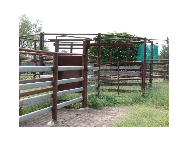 ” Brolga “, Taroom QLD 4420