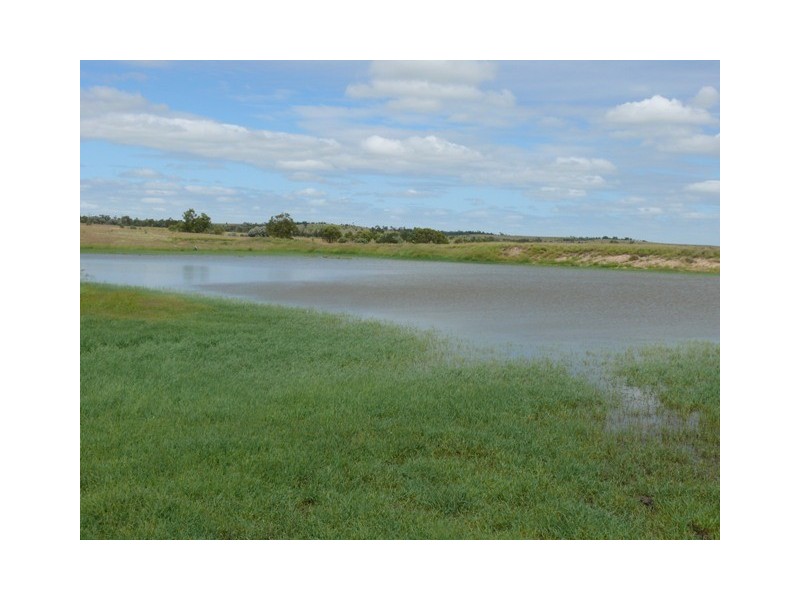 ” Brolga “, Taroom QLD 4420