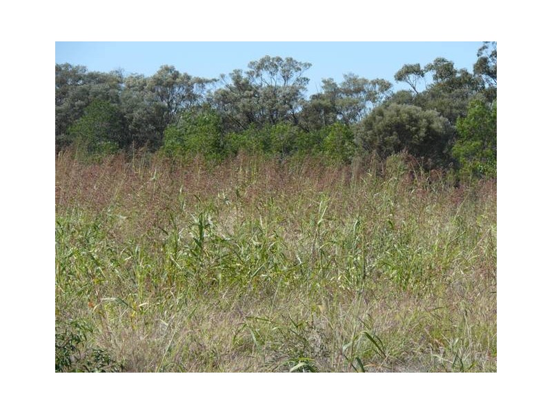” Dongara “, Roma QLD 4455
