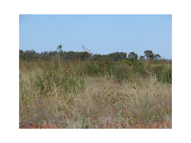 ” Dongara “, Roma QLD 4455