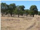 ” Dongara “, Roma QLD 4455