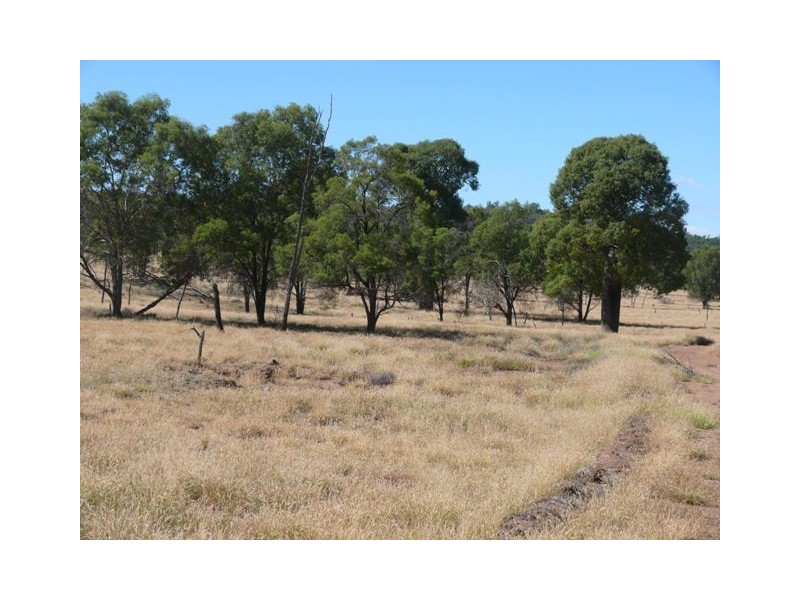 ” Dongara “, Roma QLD 4455