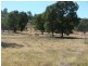 ” Dongara “, Roma QLD 4455