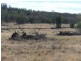 ” Dongara “, Roma QLD 4455