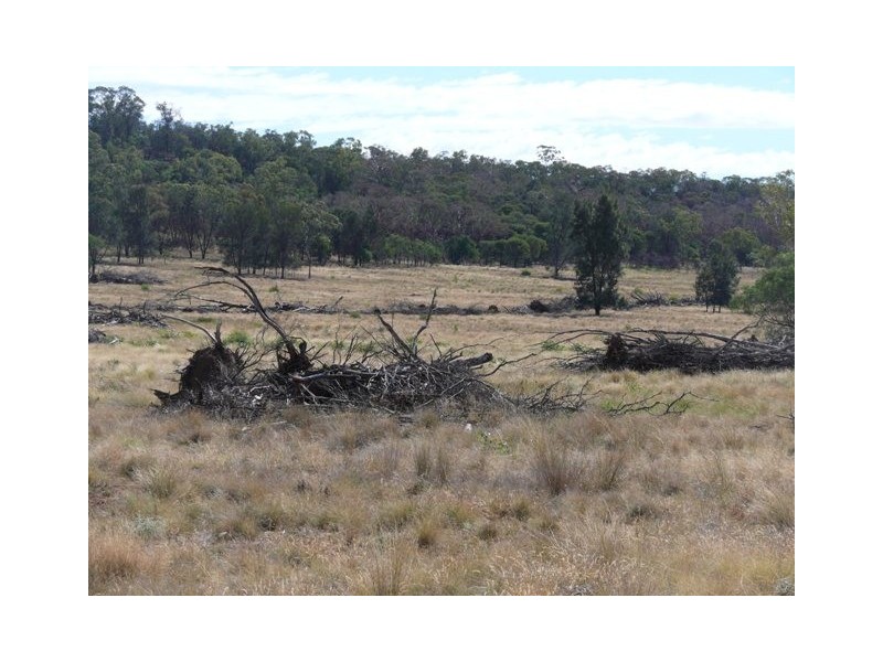 ” Dongara “, Roma QLD 4455