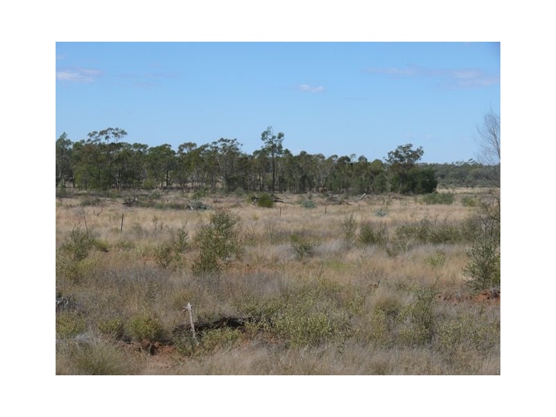 ” Dongara “, Roma QLD 4455