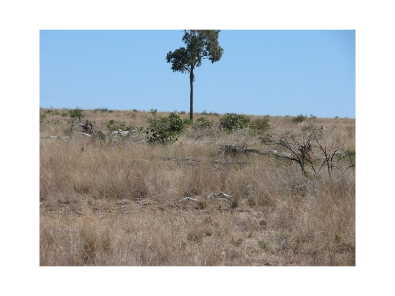 ” Dongara “, Roma QLD 4455