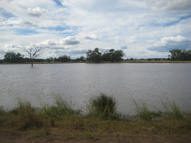 Cecil Plains QLD 4407