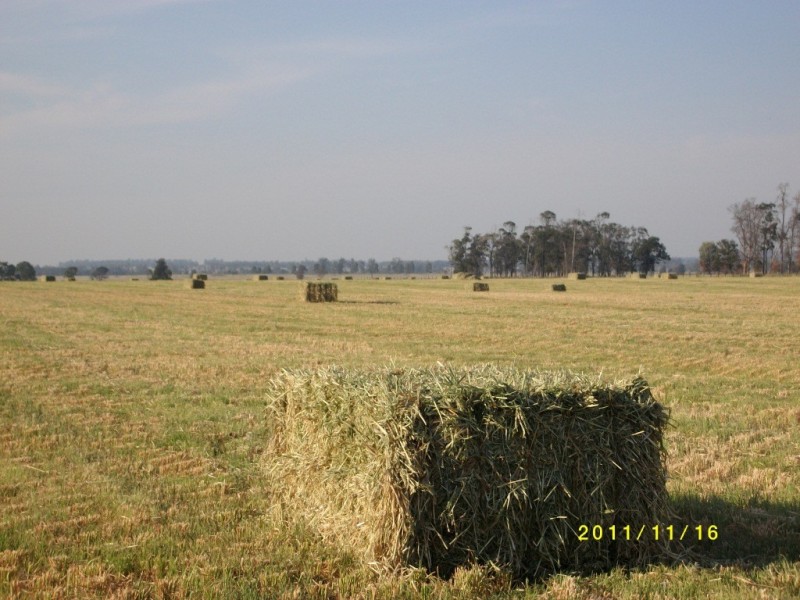 Cecil Plains QLD 4407