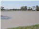 Cecil Plains QLD 4407