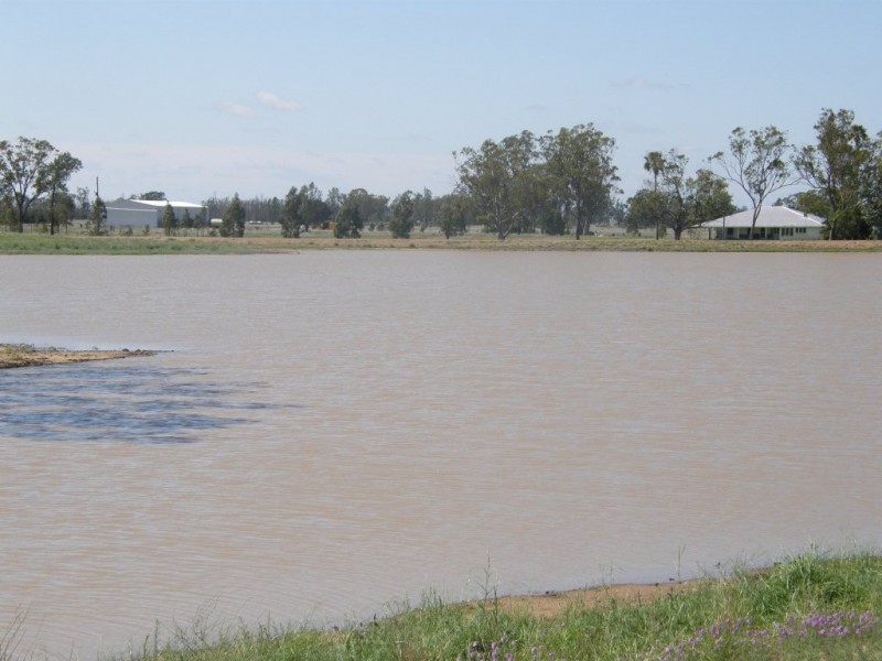 Cecil Plains QLD 4407