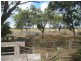 Cecil Plains QLD 4407