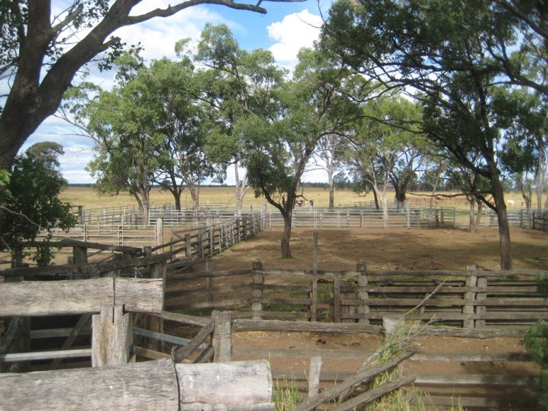 Cecil Plains QLD 4407