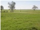 Cecil Plains QLD 4407