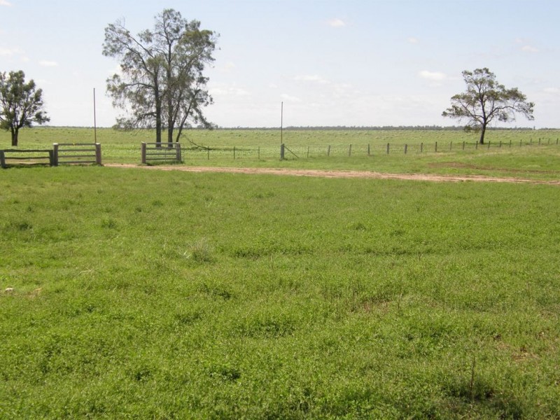 Cecil Plains QLD 4407
