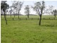 Cecil Plains QLD 4407