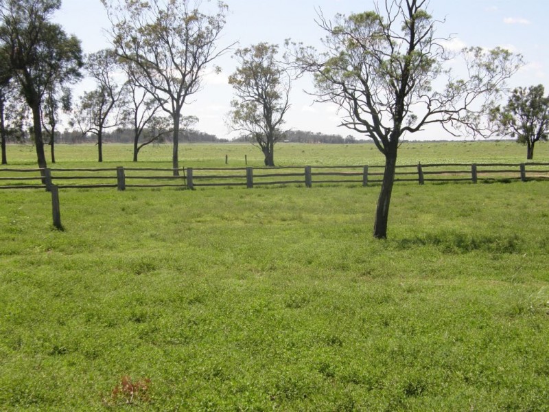 Cecil Plains QLD 4407