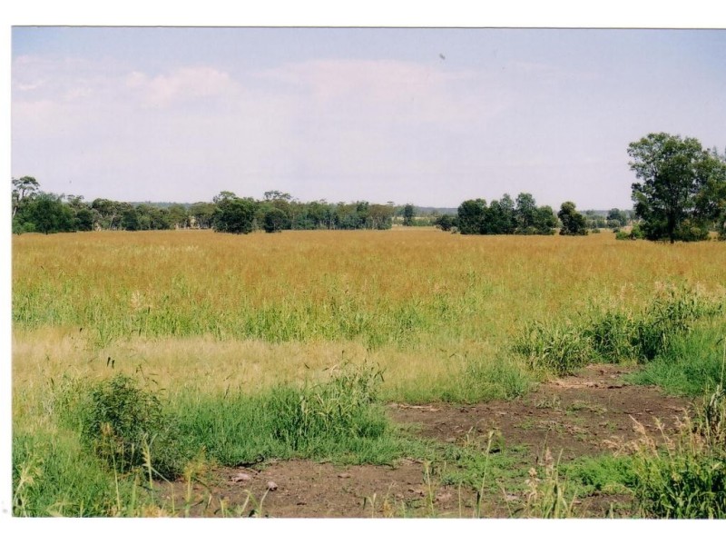 Cecil Plains QLD 4407