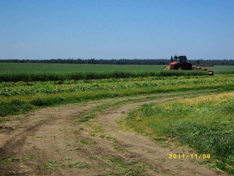 Cecil Plains QLD 4407