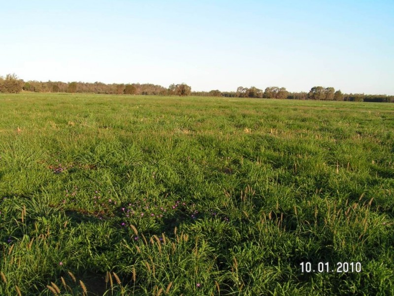 Cecil Plains QLD 4407