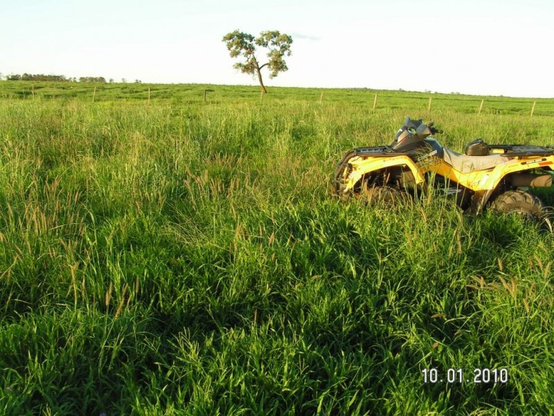 Cecil Plains QLD 4407