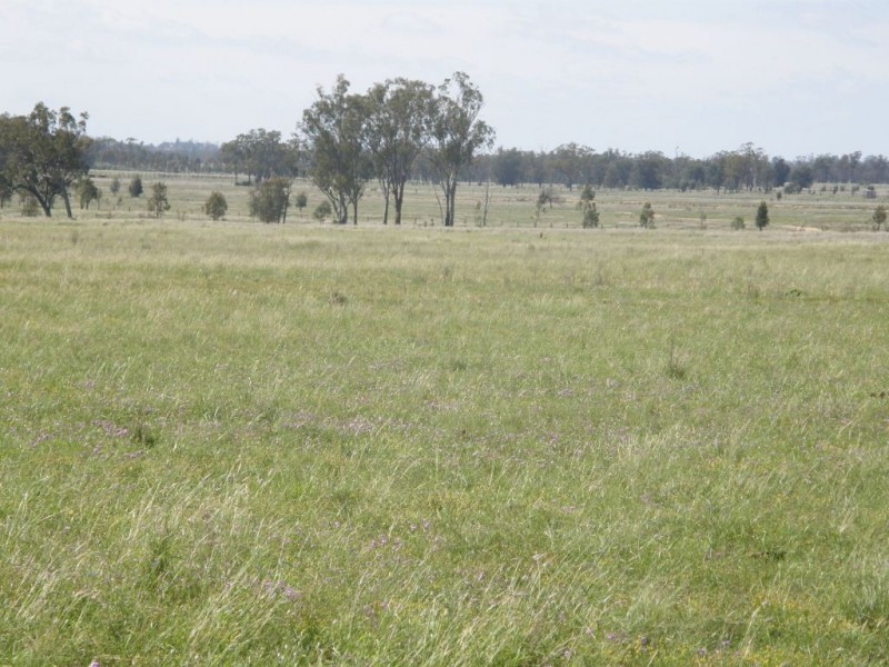 Cecil Plains QLD 4407