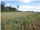 Cecil Plains QLD 4407
